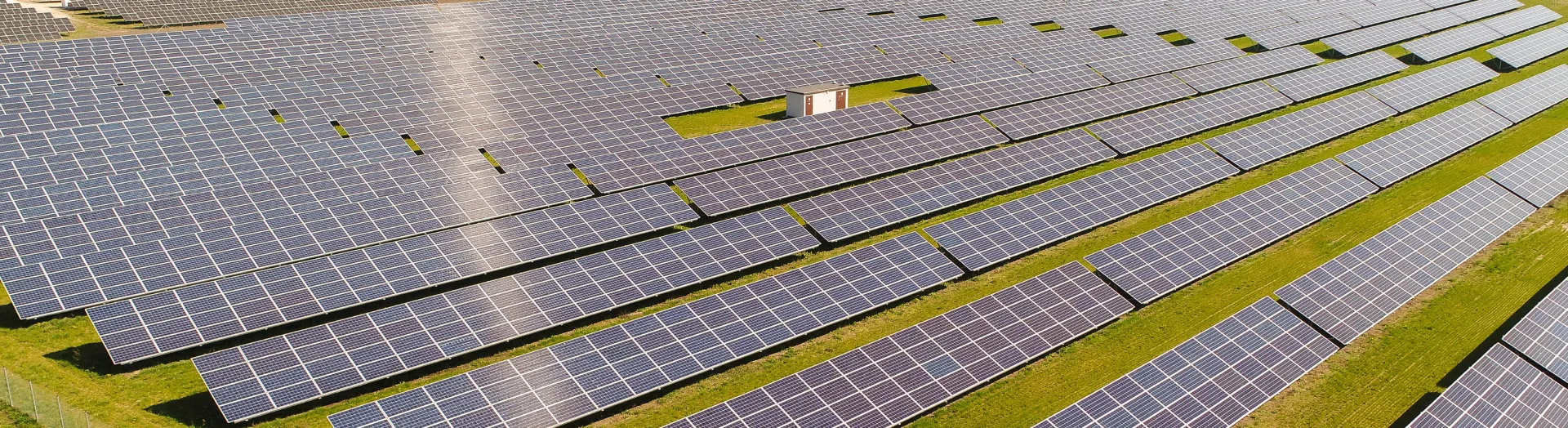 Environment and Climate